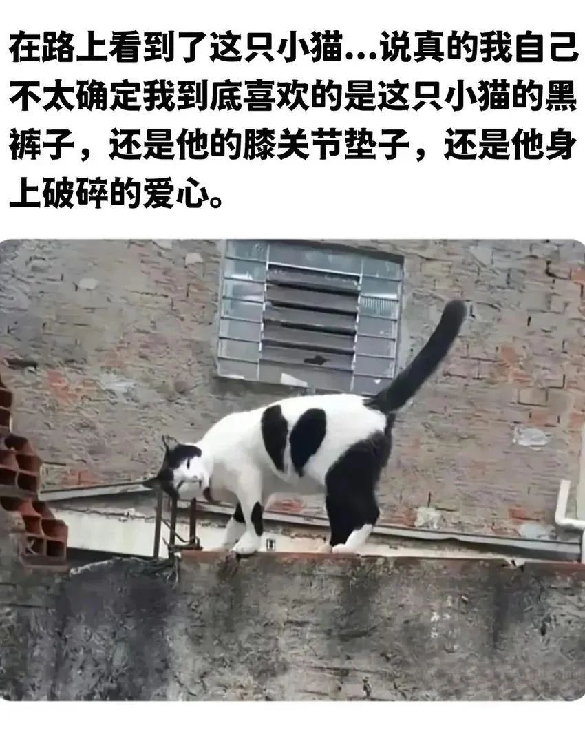 用户投稿