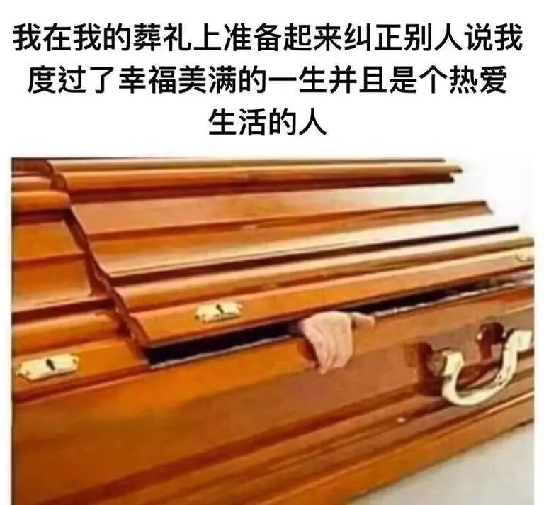 每日meme