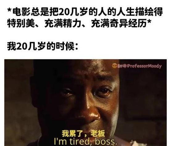 每日meme