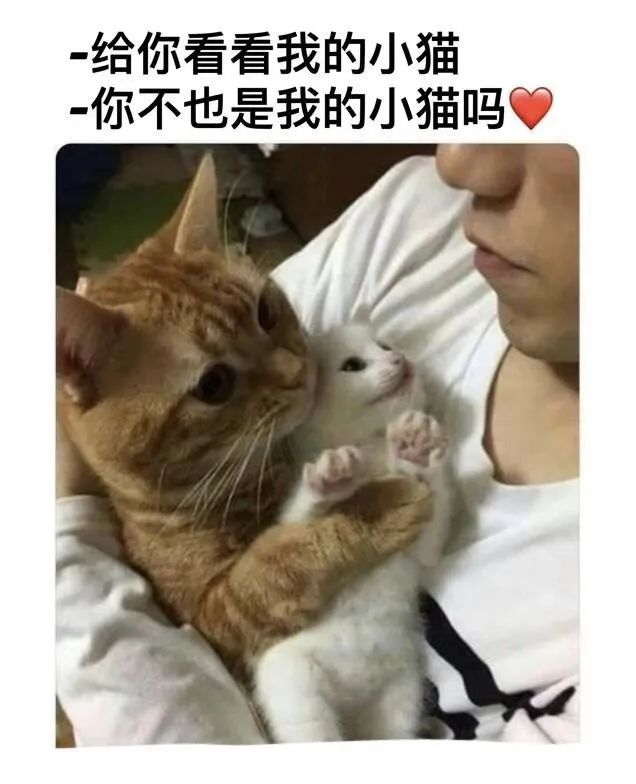 用户投稿