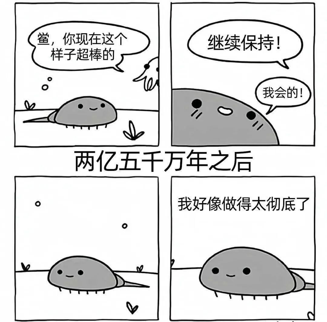 用户投稿