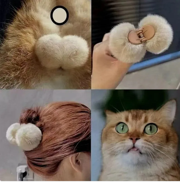 用户投稿