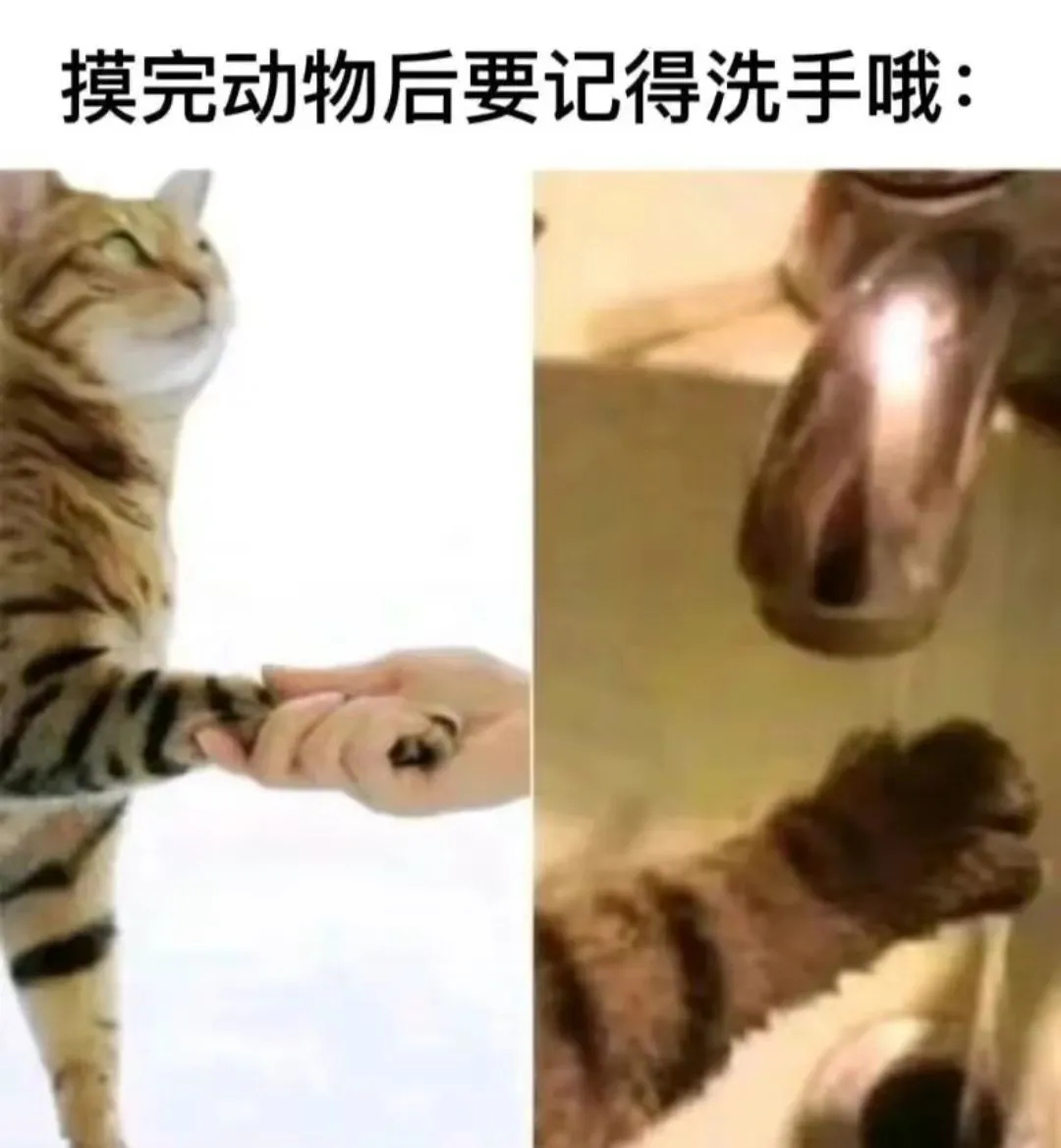 用户投稿