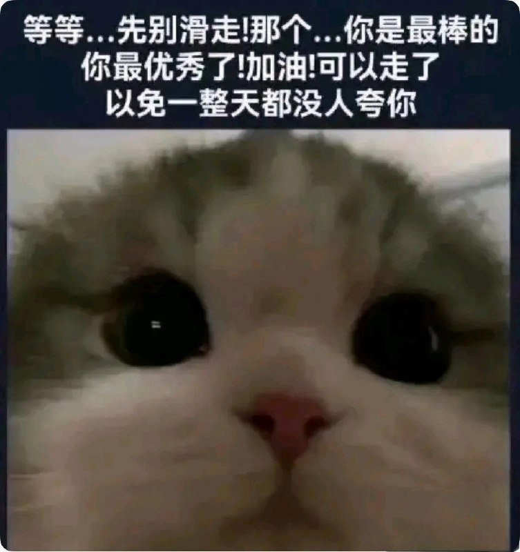 用户投稿