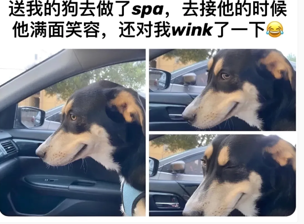 用户投稿