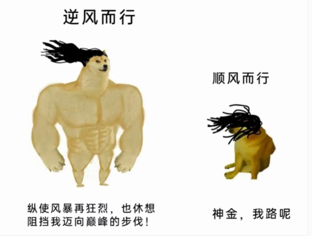 用户投稿