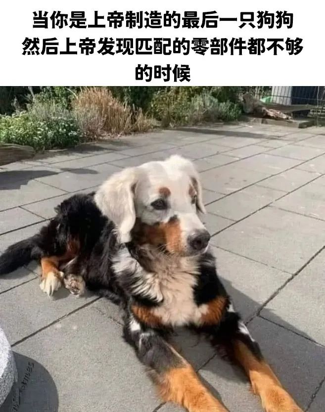 用户投稿