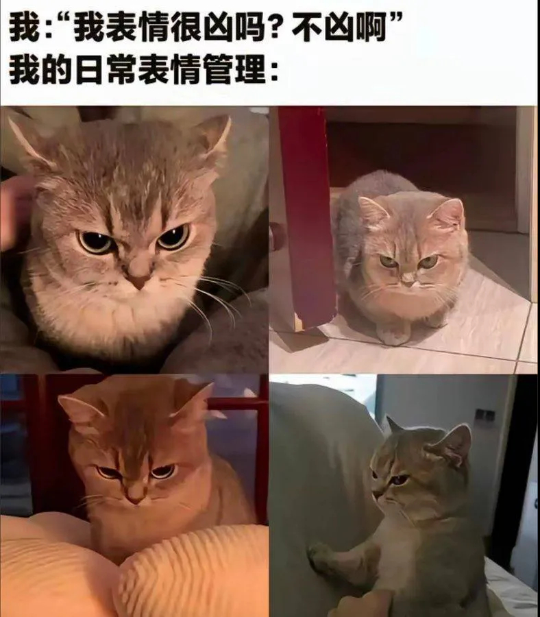 用户投稿