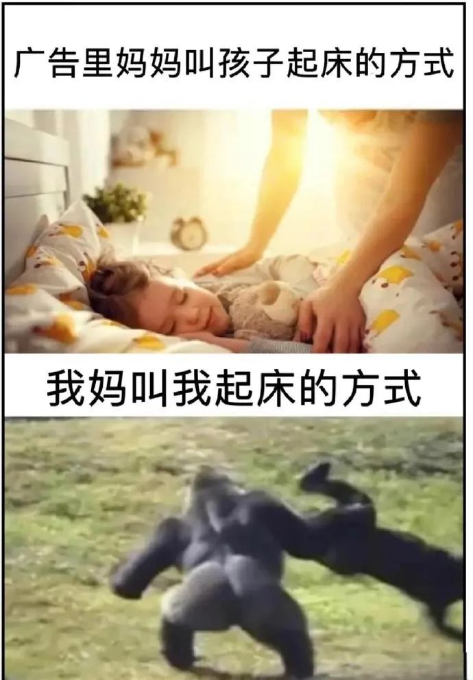 用户投稿