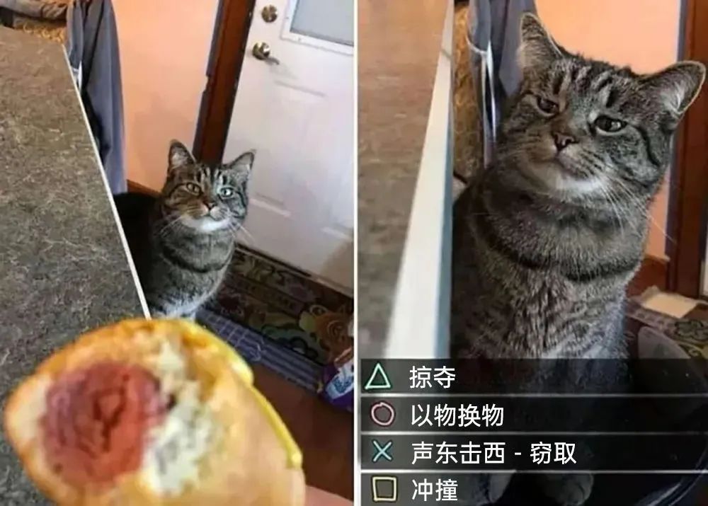每日meme