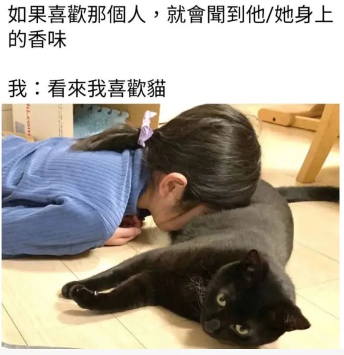 用户投稿