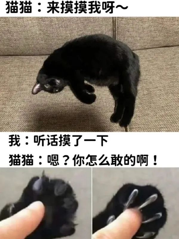用户投稿
