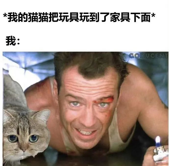 每日meme