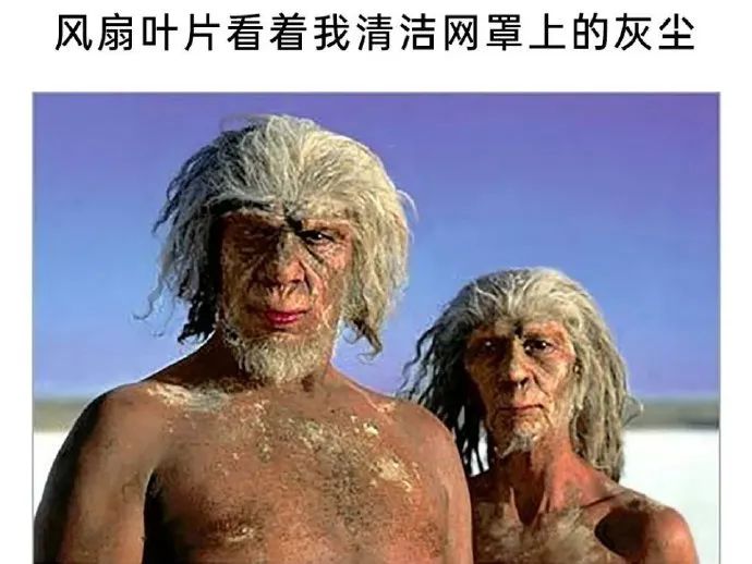 每日meme