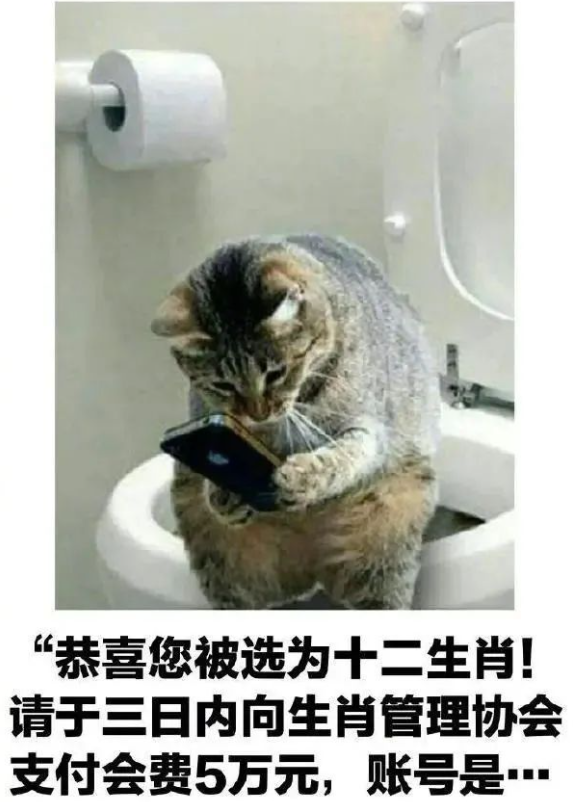用户投稿