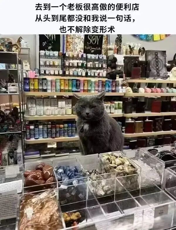 用户投稿