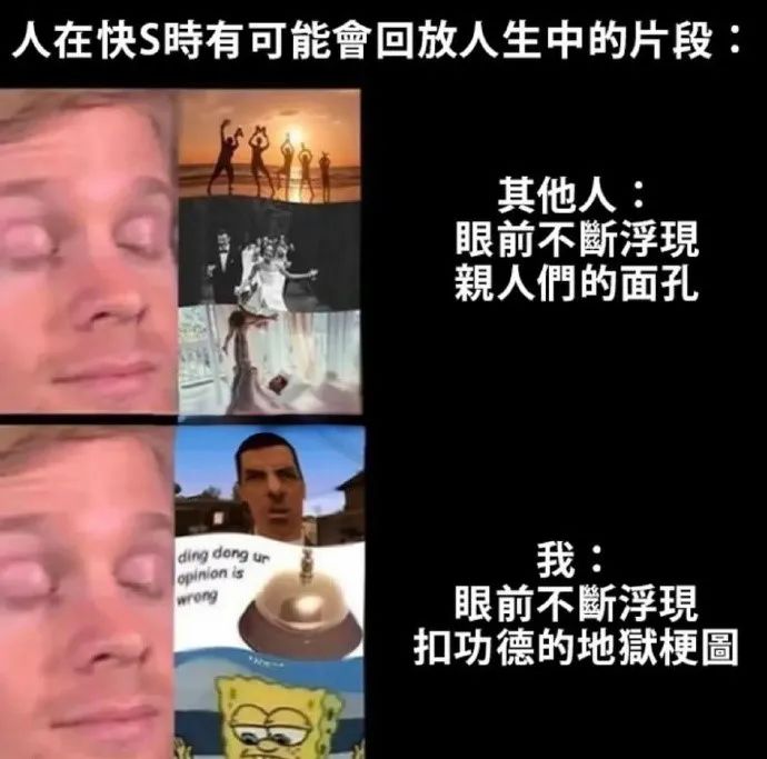 每日meme