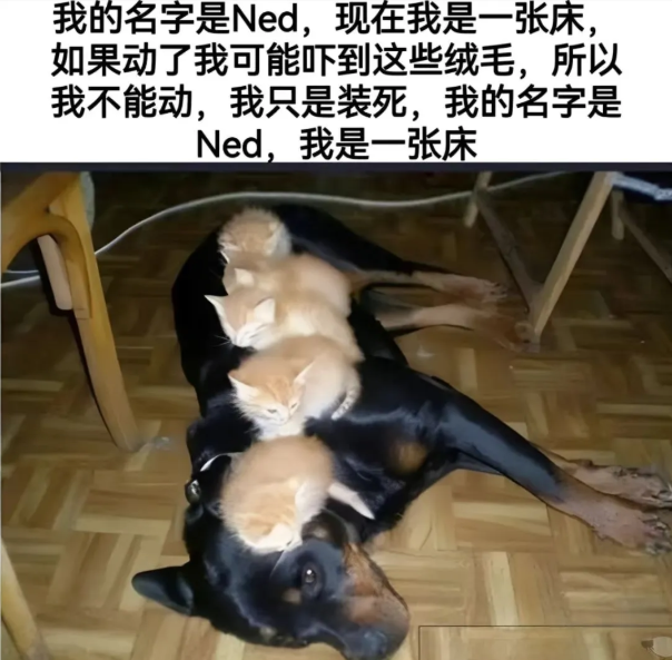 用户投稿