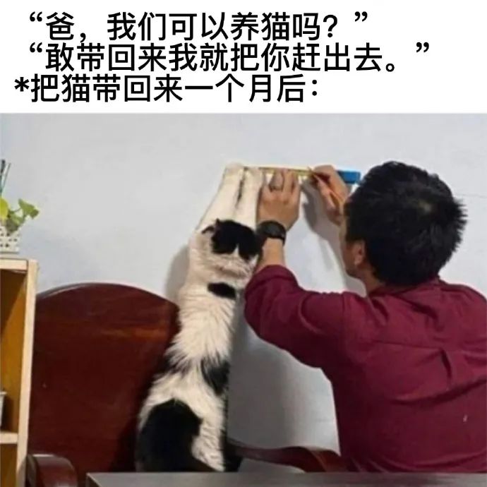 用户投稿