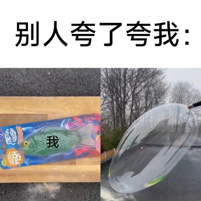 每日meme