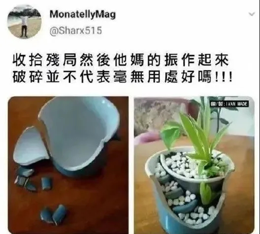 用户投稿