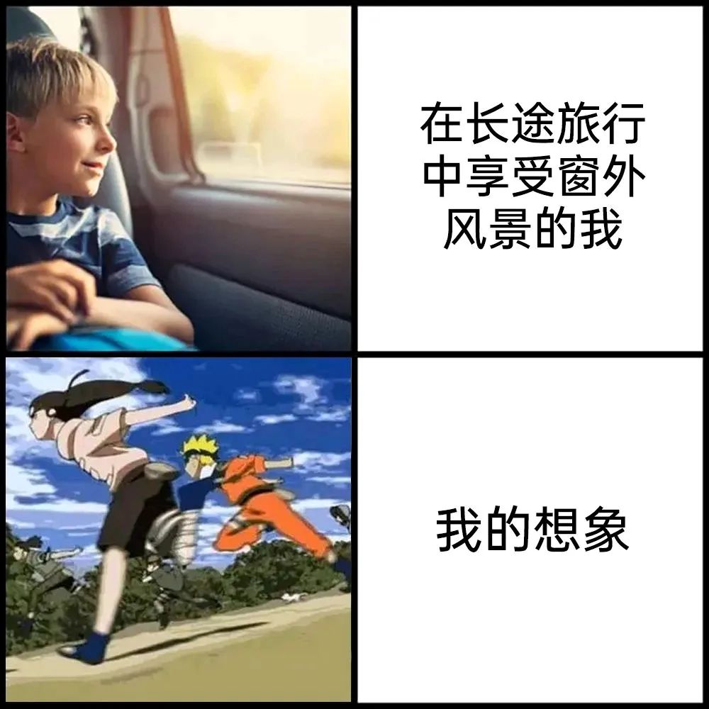 每日meme