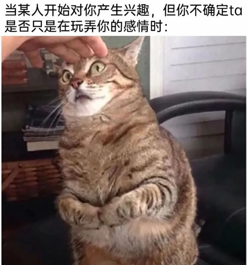 每日meme
