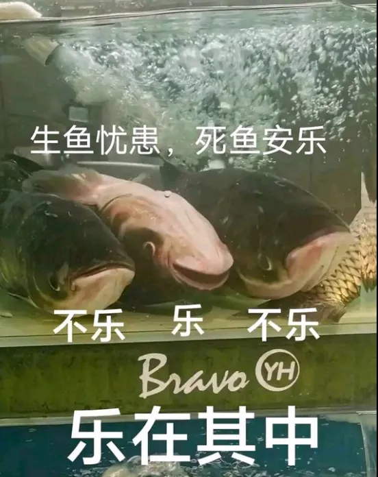 用户投稿