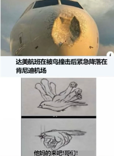 用户投稿