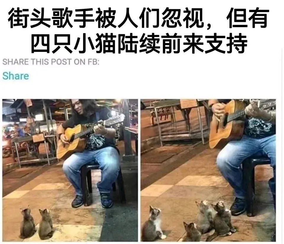 用户投稿