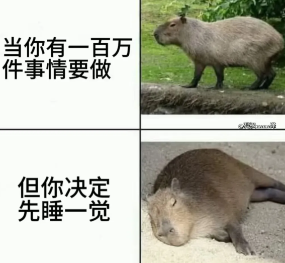 用户投稿