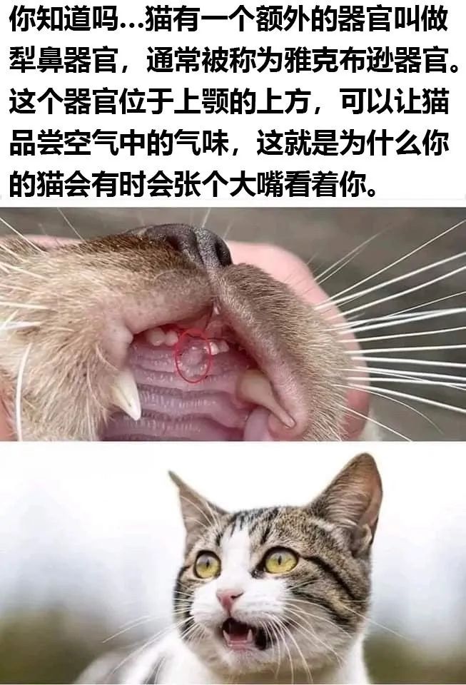 用户投稿
