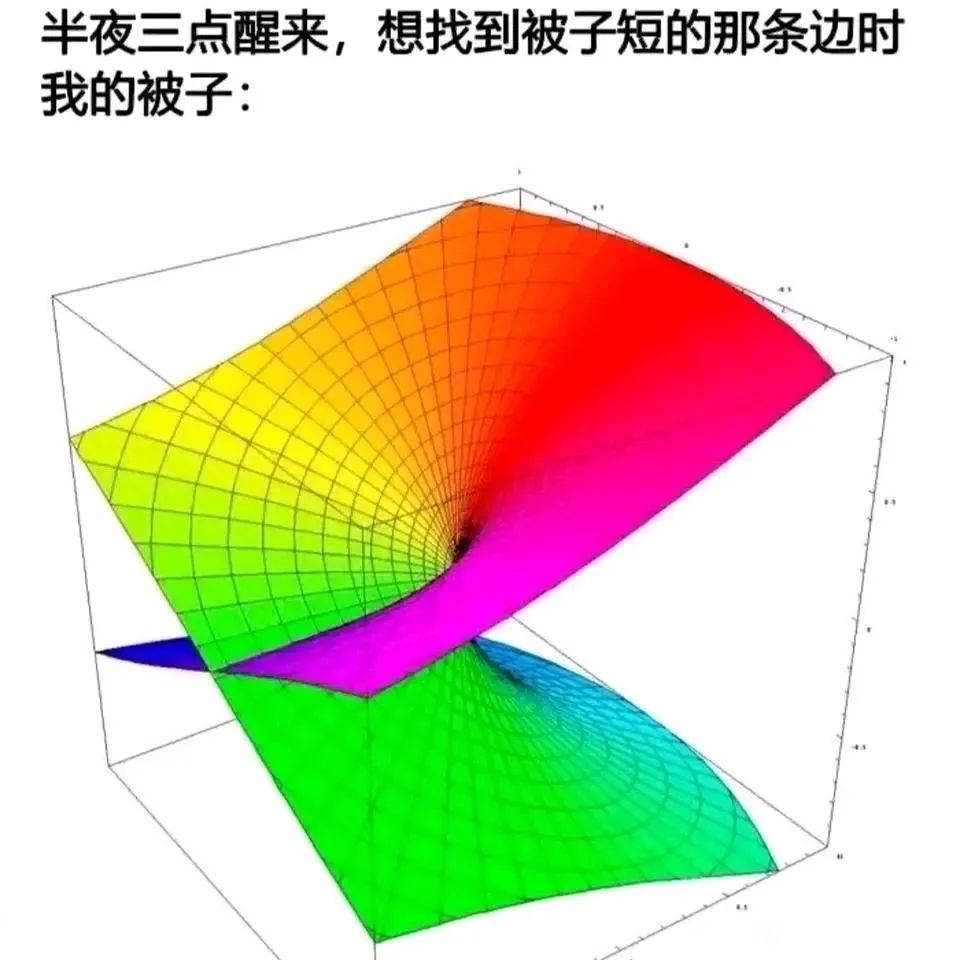 每日meme