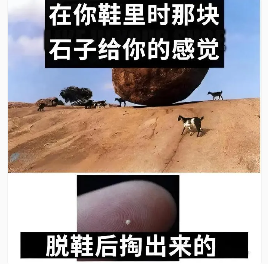 用户投稿