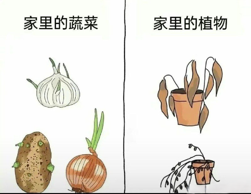 用户投稿