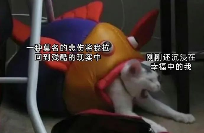 用户投稿