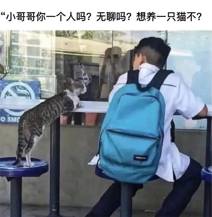 用户投稿