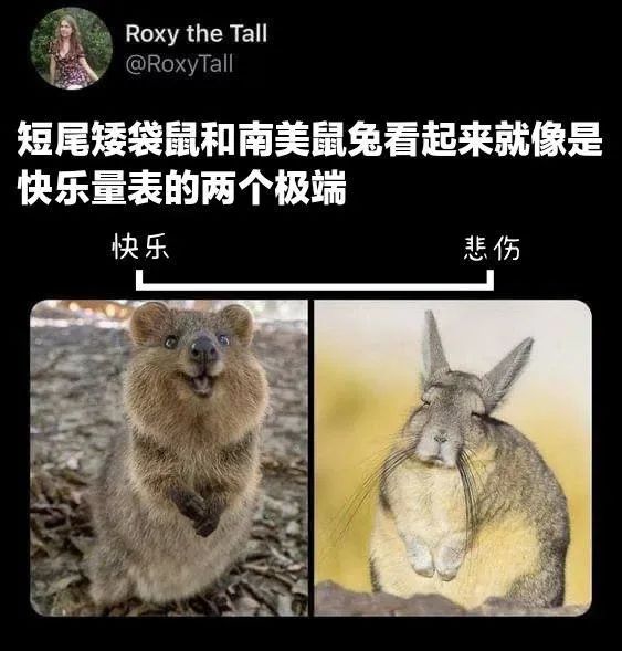 用户投稿