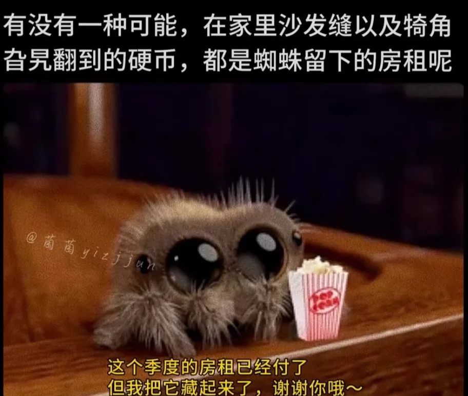 每日meme