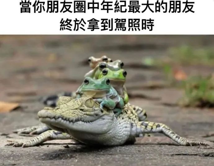 用户投稿