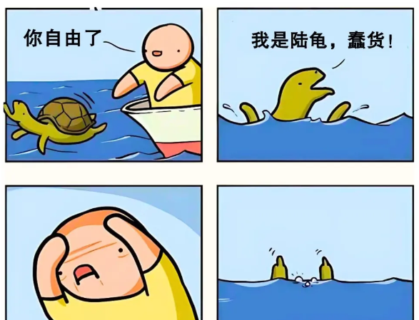 用户投稿