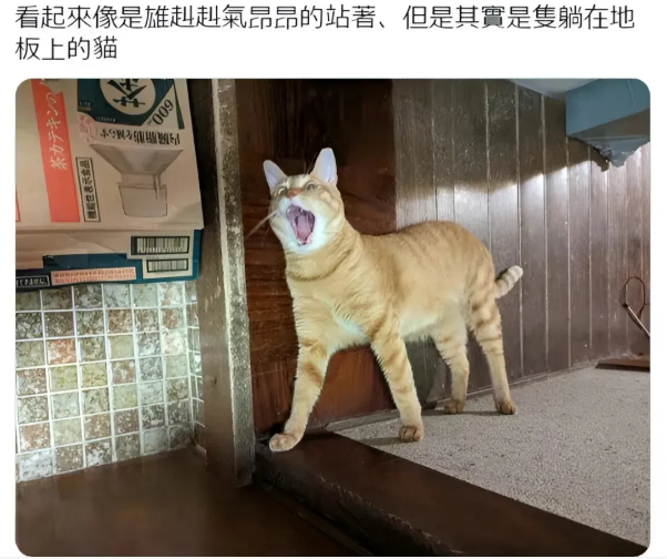 用户投稿