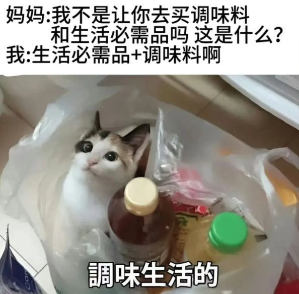 用户投稿