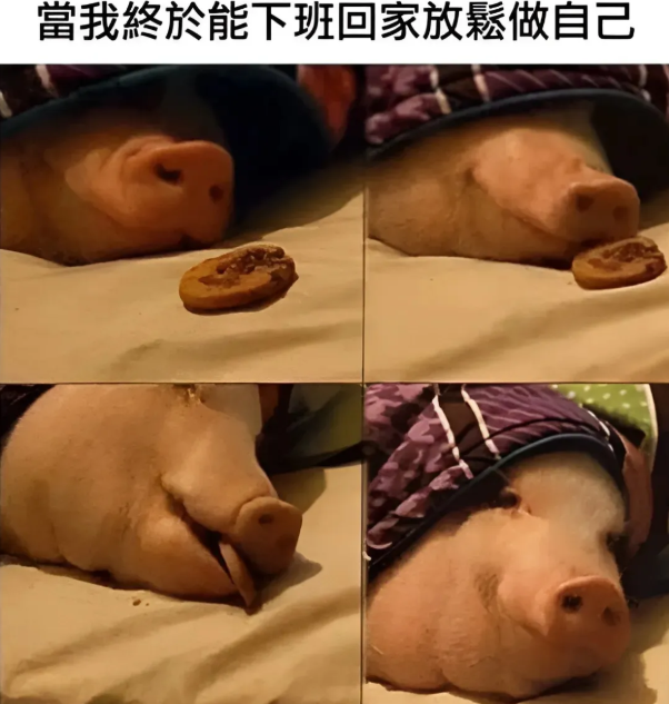 用户投稿