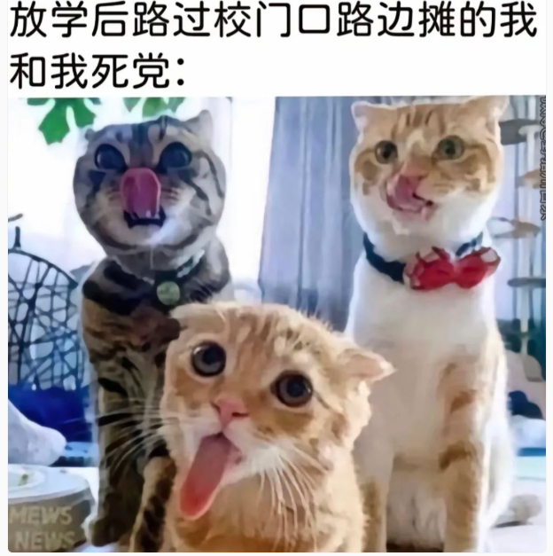 用户投稿