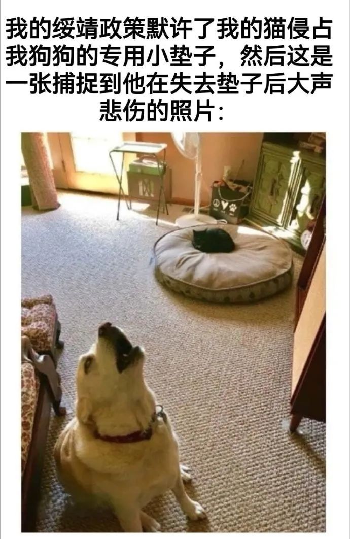 用户投稿