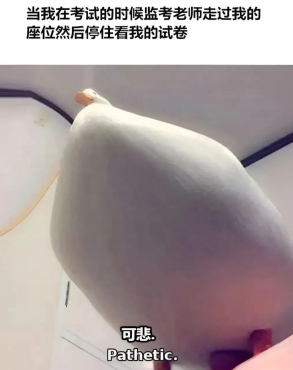 用户投稿