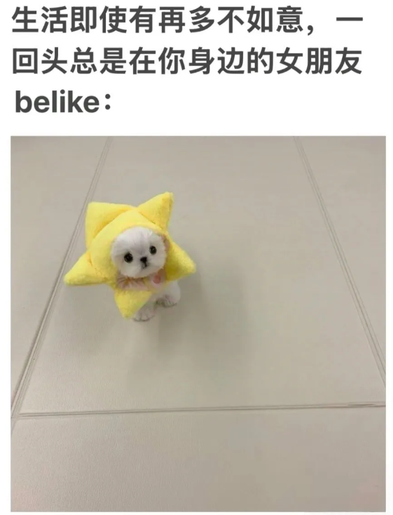 用户投稿