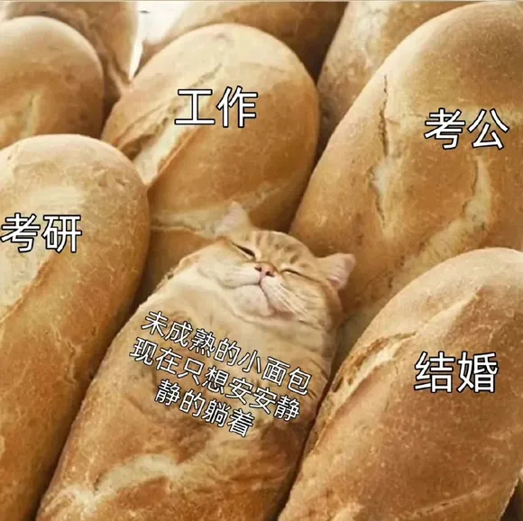 用户投稿