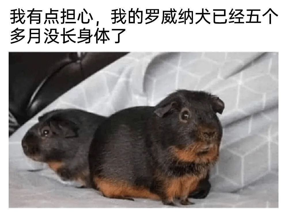 用户投稿